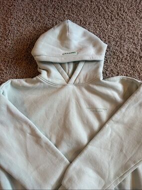 Comfort Colors Pastel Mint Hooded Sweatshirt